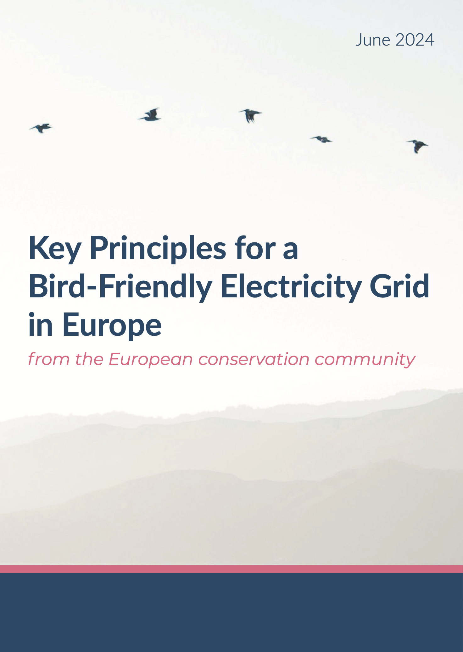 Key Principles for a Bird-Friendly Electricity Grid in Europe